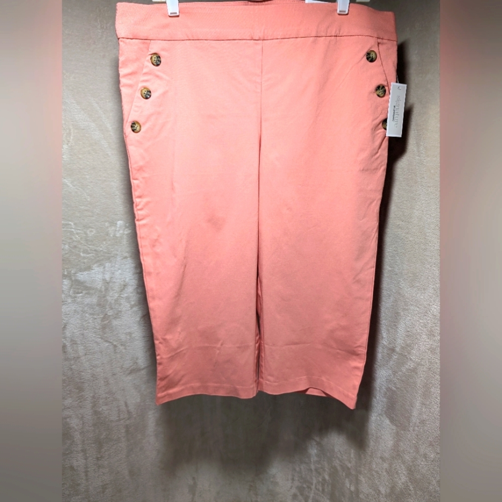 MAKE AN OFFER - Brand New Christopher & Banks Cropped Pants